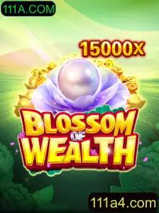 Descobrindo o Mundo de BlossomofWealth